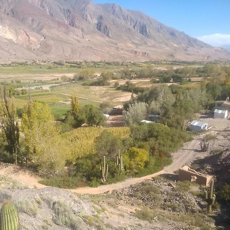 Dormir Con Llamas Maimará Zewnętrze zdjęcie