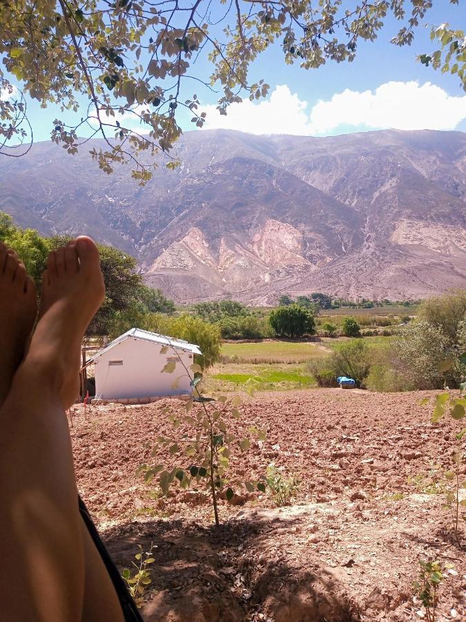 Dormir Con Llamas Maimará Zewnętrze zdjęcie