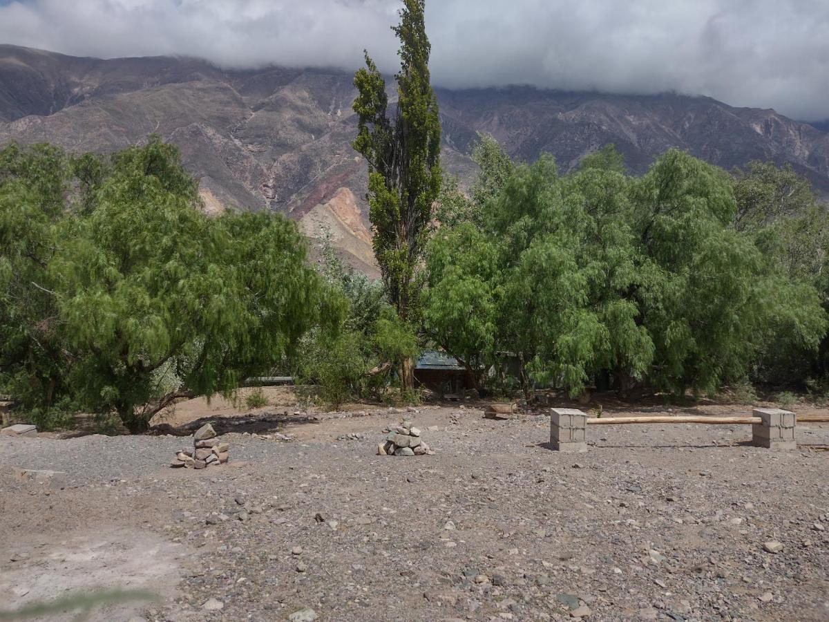 Dormir Con Llamas Maimará Zewnętrze zdjęcie
