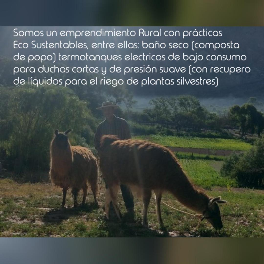 Dormir Con Llamas Maimará Zewnętrze zdjęcie