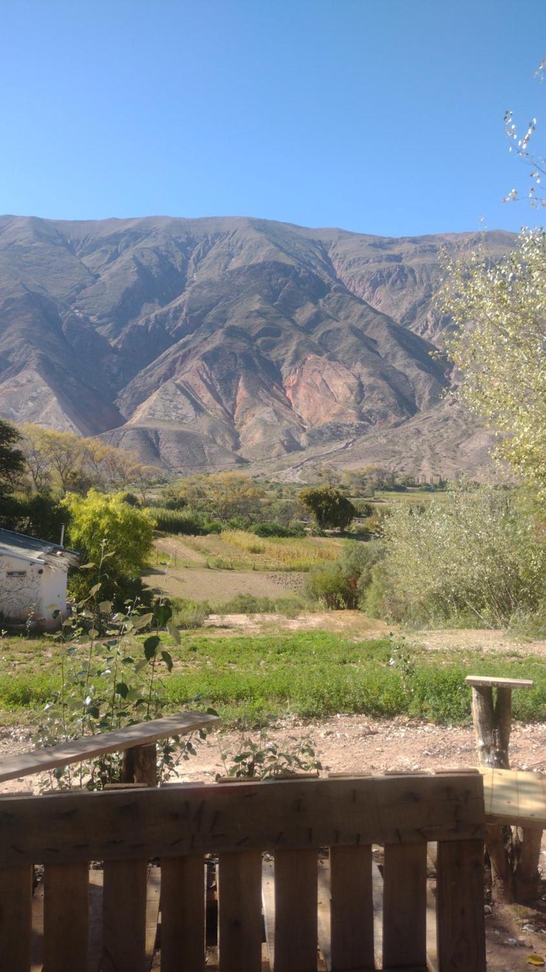 Dormir Con Llamas Maimará Zewnętrze zdjęcie